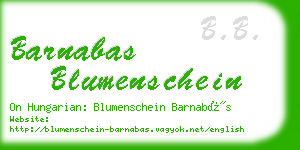 barnabas blumenschein business card